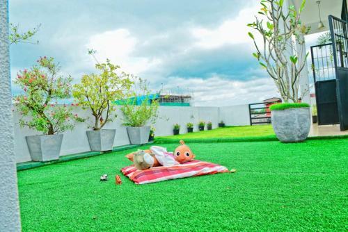 Furnished Apartment At Nawala