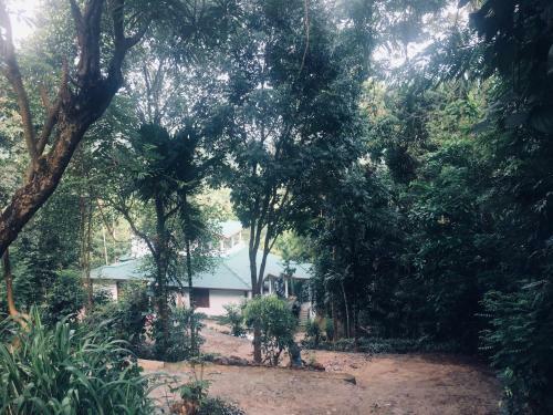 Bed & Breakfast Desire Village Rakwana
