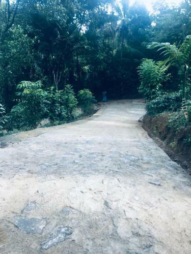 Bed & Breakfast Desire Village Rakwana