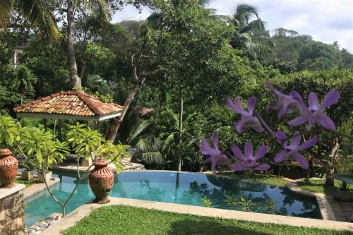 Hotel The Spice House Mirissa