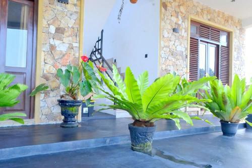 Ayubowan Resort Mirissa