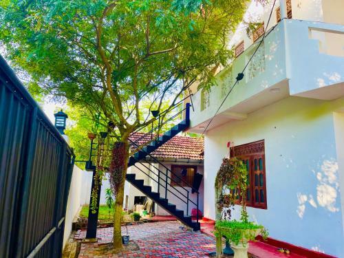 Black Panther Villa