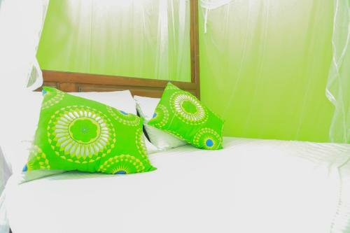 Coconut Hill Homestay