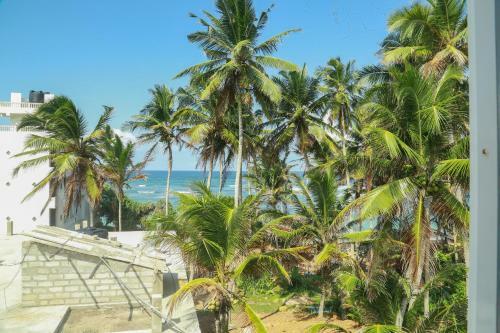 Coconut Hill Homestay