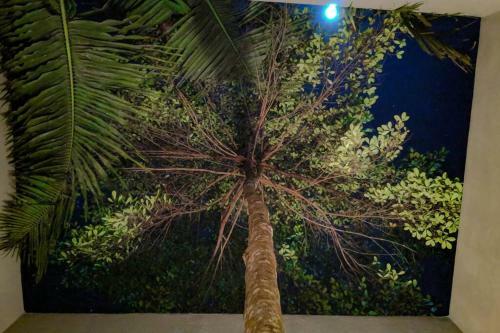 Villa Calm House - Nature Inspired Private Stay Mirissa