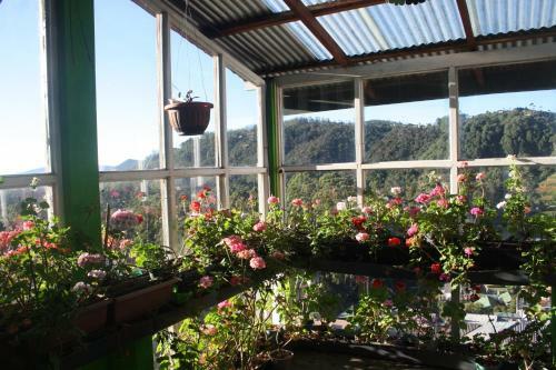 Hotel Bezel Bungalow Nuwara Eliya