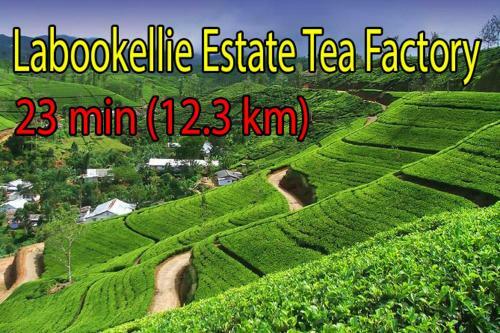 Hotel Forestside Villa & Resort