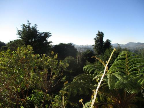 Hostal Redwood Homestay