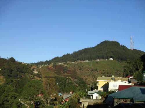 Hostal Redwood Homestay