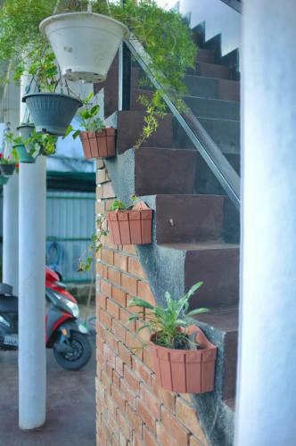 Hostal Rc Awkward