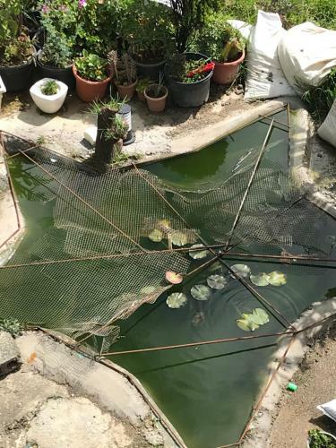 Hostal Highest Village Cool Winter Villa