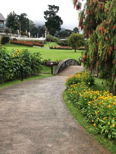 Hostal The Log Nuwaraeliya