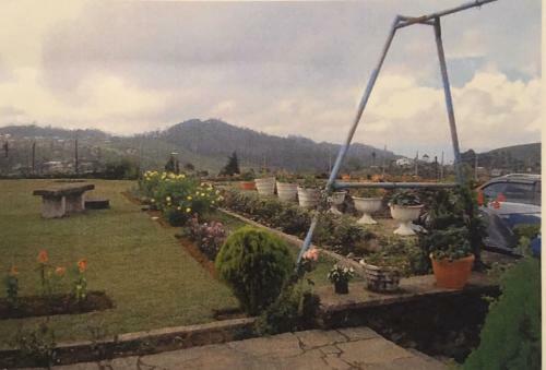 Hill Climb Nuwara Eliya