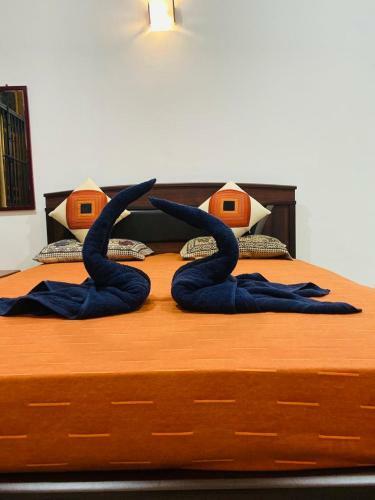 Hostal Grand Hyatt Villa Negombo