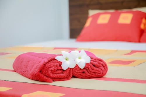 Albergue Araliya Lagoon Park Resort