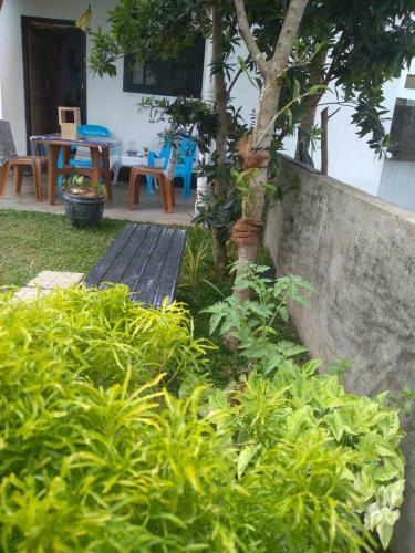 Divine Home Stay And Cottage