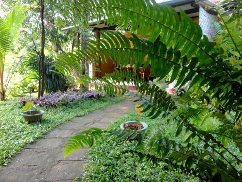 Sigiri Neo Homestay
