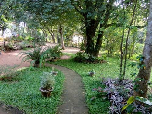 Sigiri Neo Homestay
