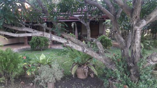 Shan Mango Homestay