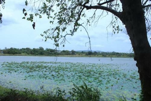 Sigiri Lucky View Villa