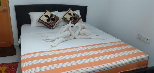 Hostal Nature Night Homestay
