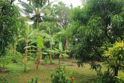 Hostal Nature Night Homestay