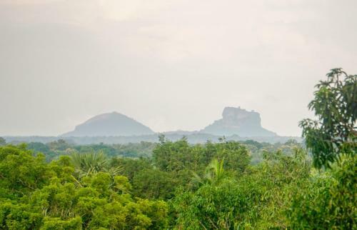 Sigiri Sandilu Homestay