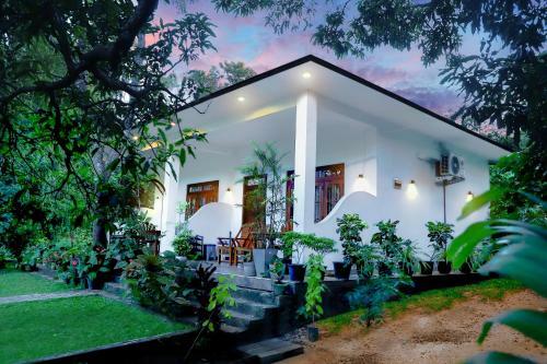 Hostal The Cattleya Guest House