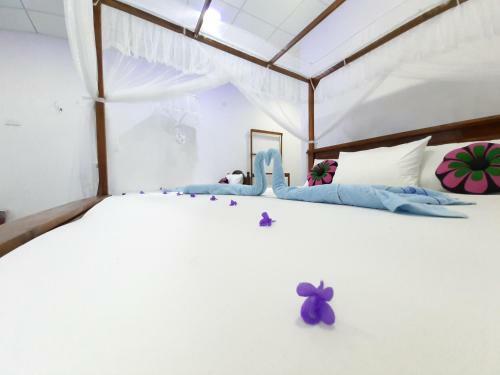 Galaxy View Home Stay Sigiriya