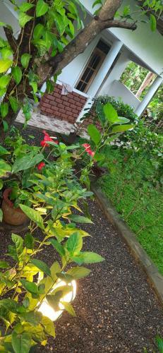 Galaxy View Home Stay Sigiriya