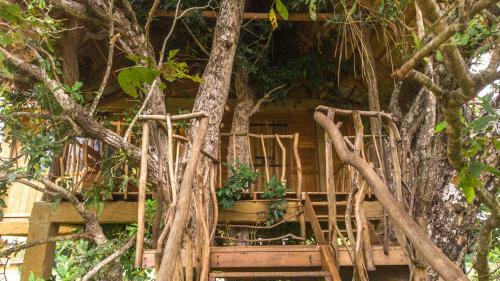 Agroturismo Sigiriya Tree House