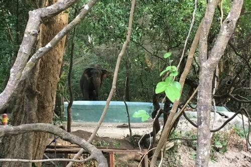Apartamento The Elephant Hide Villa Sigiriya