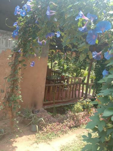 Hostal Sigiriya Nature View Home Stay