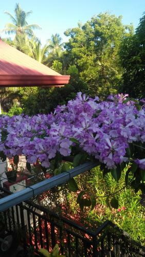 Hostal Tissa Rainbow Guest & Yala