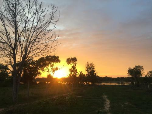 Hotel Saffron Lake Yala