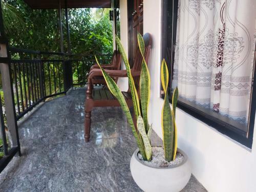 Hotel Village Mango Resort Yala