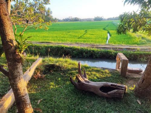 Hotel Village Mango Resort Yala