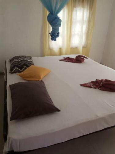 Bed & Breakfast Yala Safari Information Hotel