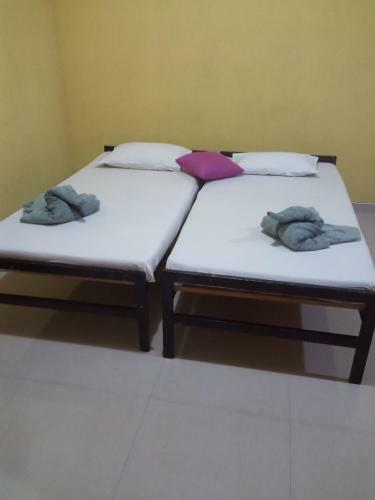 Bed & Breakfast Yala Safari Information Hotel