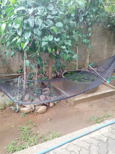Bed & Breakfast Yala Safari Information Hotel