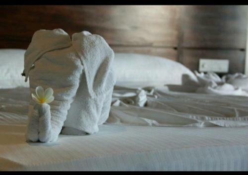 Hostal Domain Elephant Bungalow