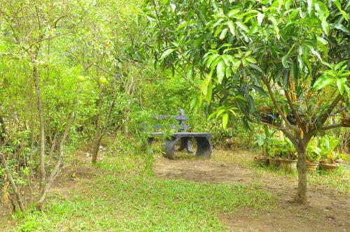 Hostal Domain Elephant Bungalow