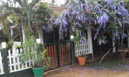 Hostal Domain Elephant Bungalow