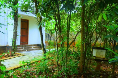 Hostal Forest Dew