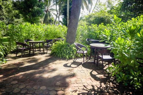 Bed & Breakfast Villa Don Bastian