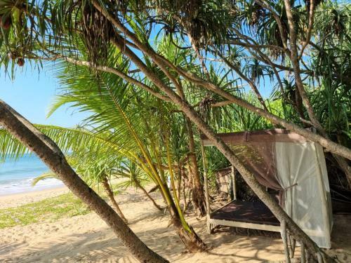Hotel Golden Beach Paradise