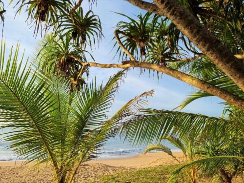 Hotel Golden Beach Paradise