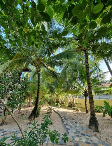 Hotel Golden Beach Paradise