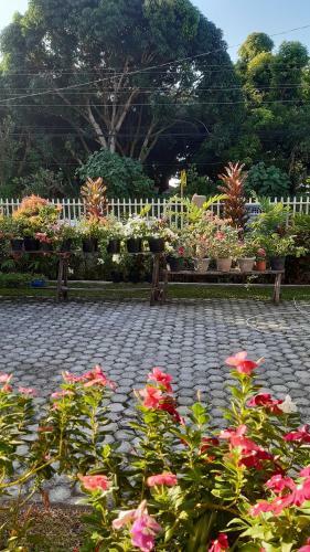 Posada Veance Travellers Inn - Pabua's Cottages Ext