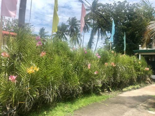 Hostal Paguia?s Cottages